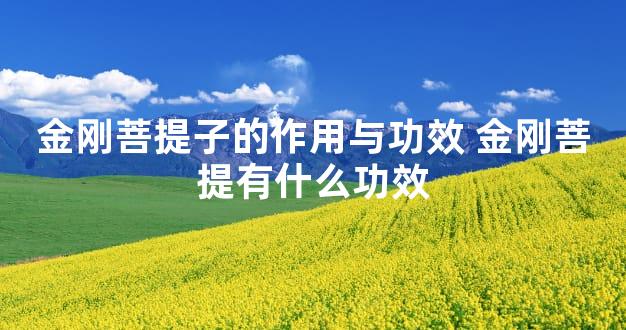 金刚菩提子的作用与功效 金刚菩提有什么功效